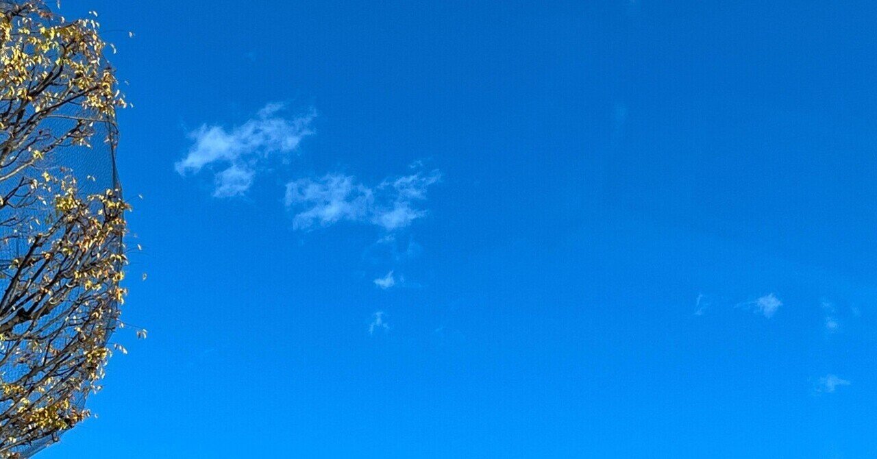 御朱印帳の記録 歌舞伎稲荷神社