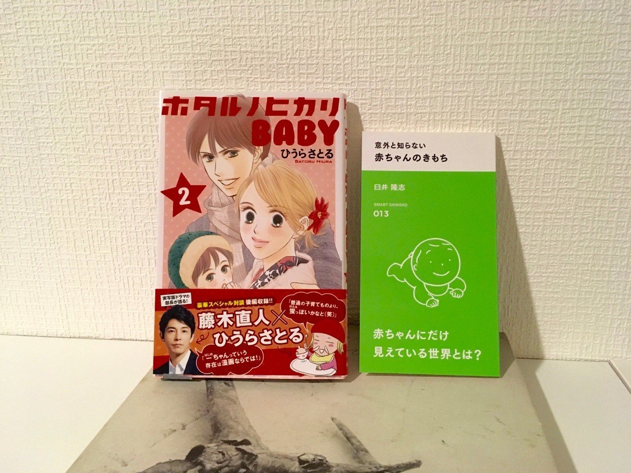 書評 ホタルノヒカリbaby 臼井 隆志 Art Educator Note 書評 ホタルノヒカリbaby 臼井 隆志 Art Educator Note
