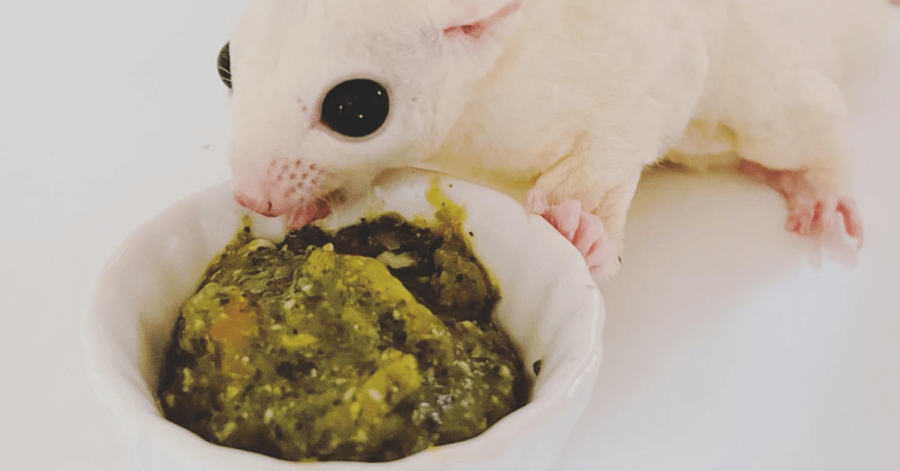 フクロモモンガの簡単ペロ飯！vol.2「栄養を丸ごと逃がさない作り方