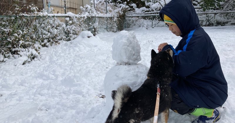 大雪警報❄️雪が積もらない姫路で積雪20cm！