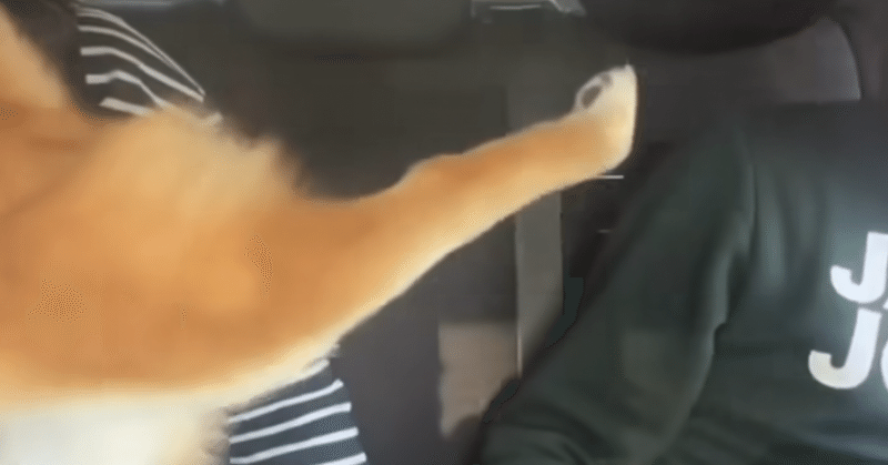 サムシングエルス|色陽|note