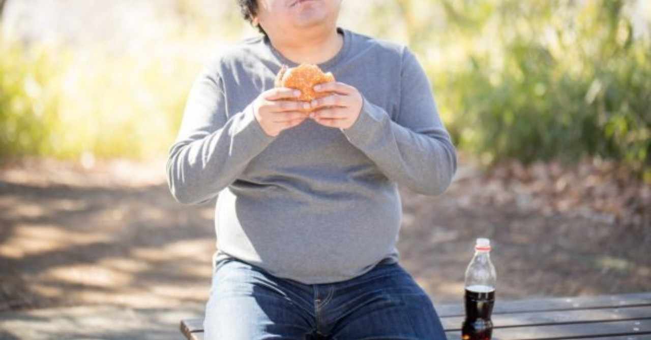 百貫デブで仕事ができる上司はいない ソル 副業ブロガー Note