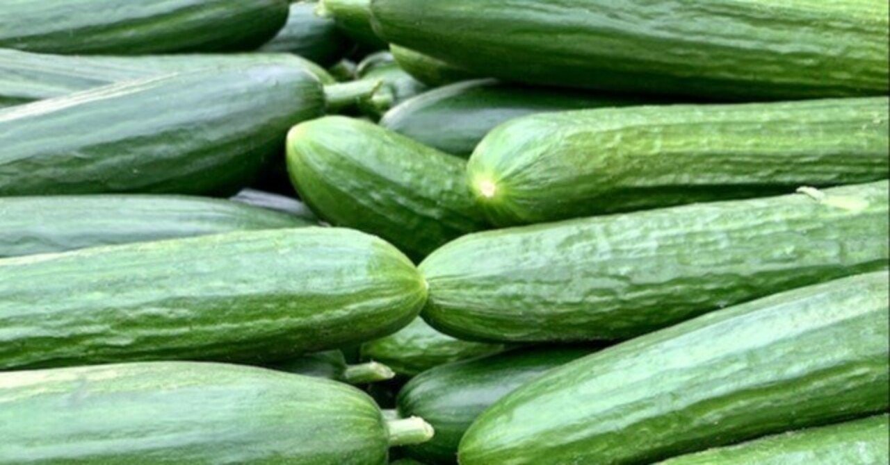 きゅうり界のエリート競争と作物の多様性｜Ayako