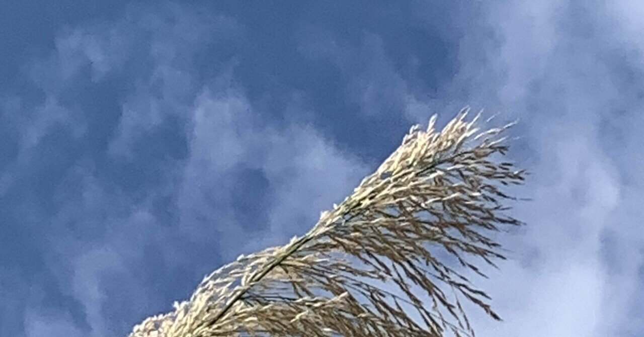 6oo0 Mkaqhw8fm 6oo0 Mkaqhw8fm