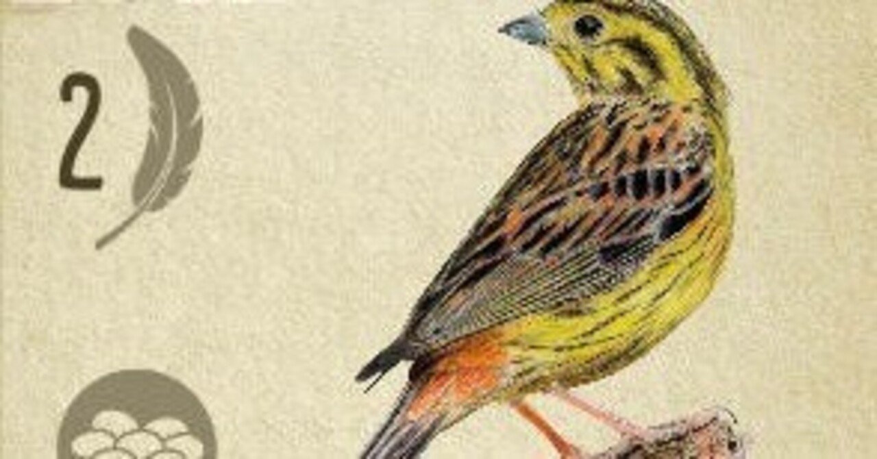 ウイングスパン戦術紹介～オールビルド～｜ボドゲアカウント@チャーシュー