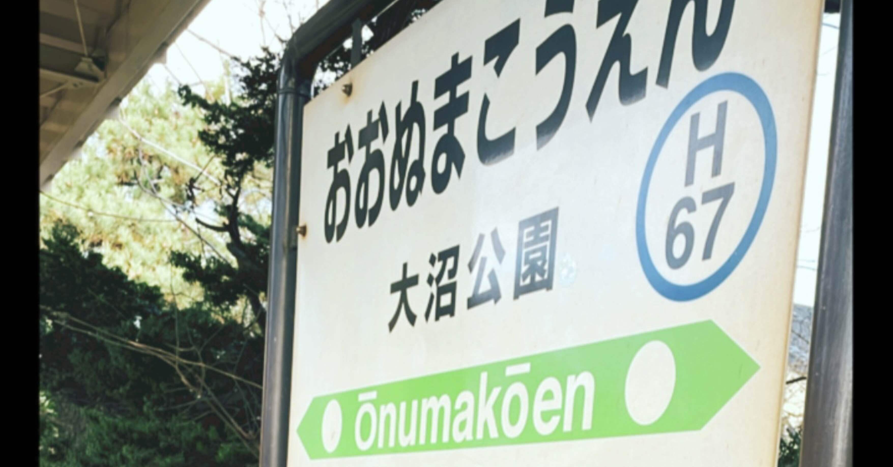 大沼公園に沼ろう！｜オガサワラ