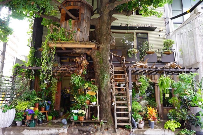 カフェが併設 都内でオススメのお花屋さん Shion Note