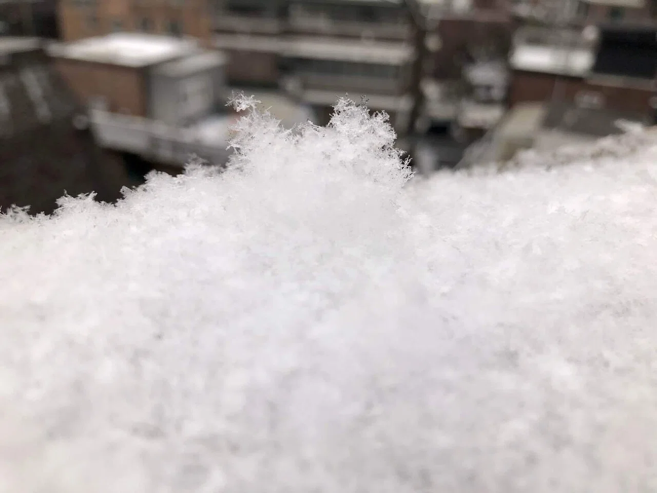 雪が降った日｜LUCIA