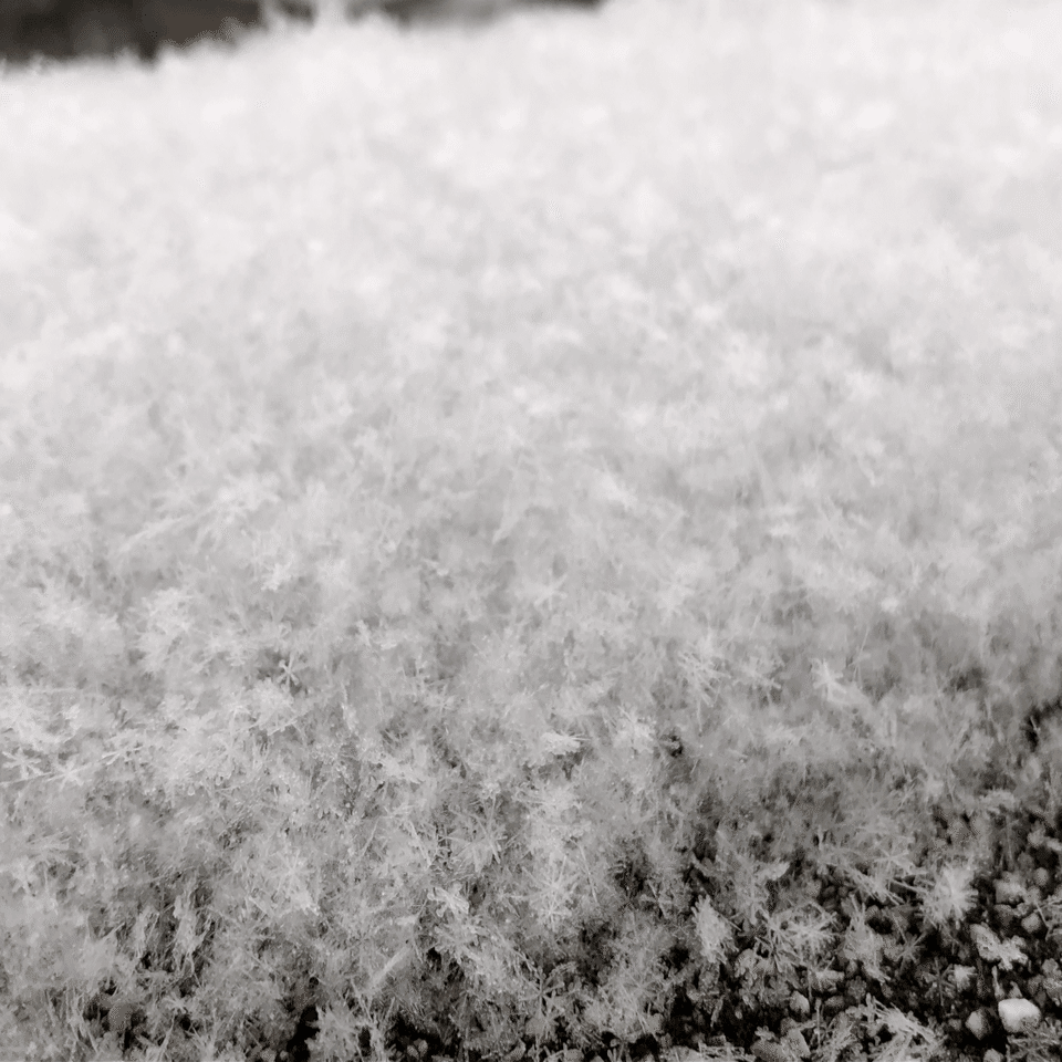 雪が降った日｜LUCIA