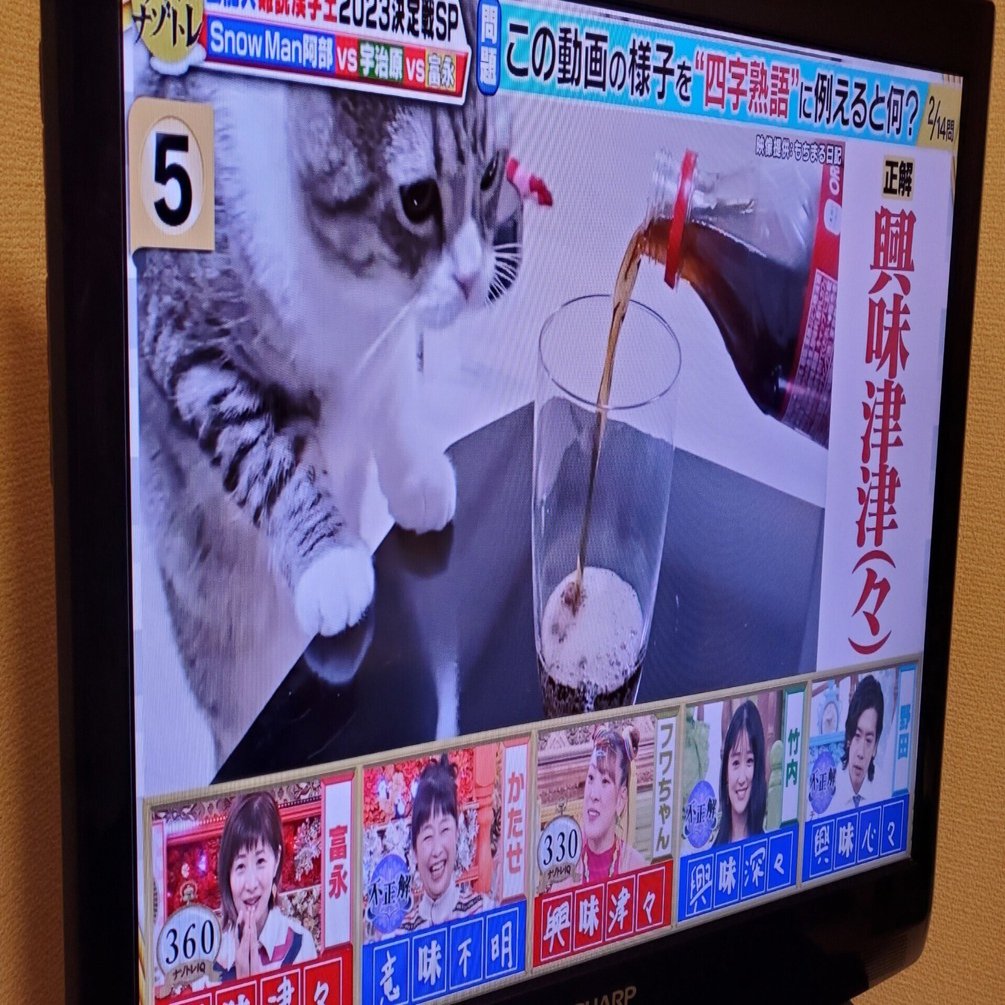 もちまるがクイズ番組に出てた！｜Rukito-007