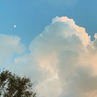 Joya              Joya