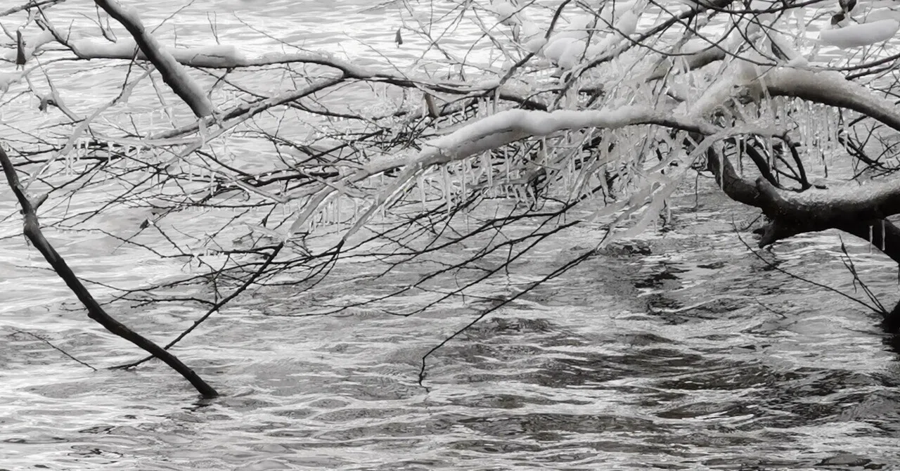 I finally captured my long-held dream of photographing Lake Biwa's ...