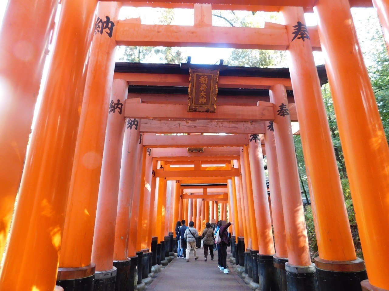 金婚式と古希のお祝いに 霞 Note 金婚式と古希のお祝いに 霞 Note