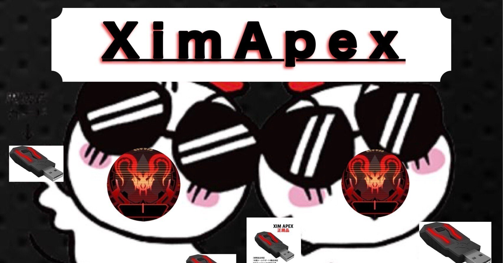 ximapex ＋ 最強設定、joytokey、低遅延設定 人気買蔵 paragraph.mx