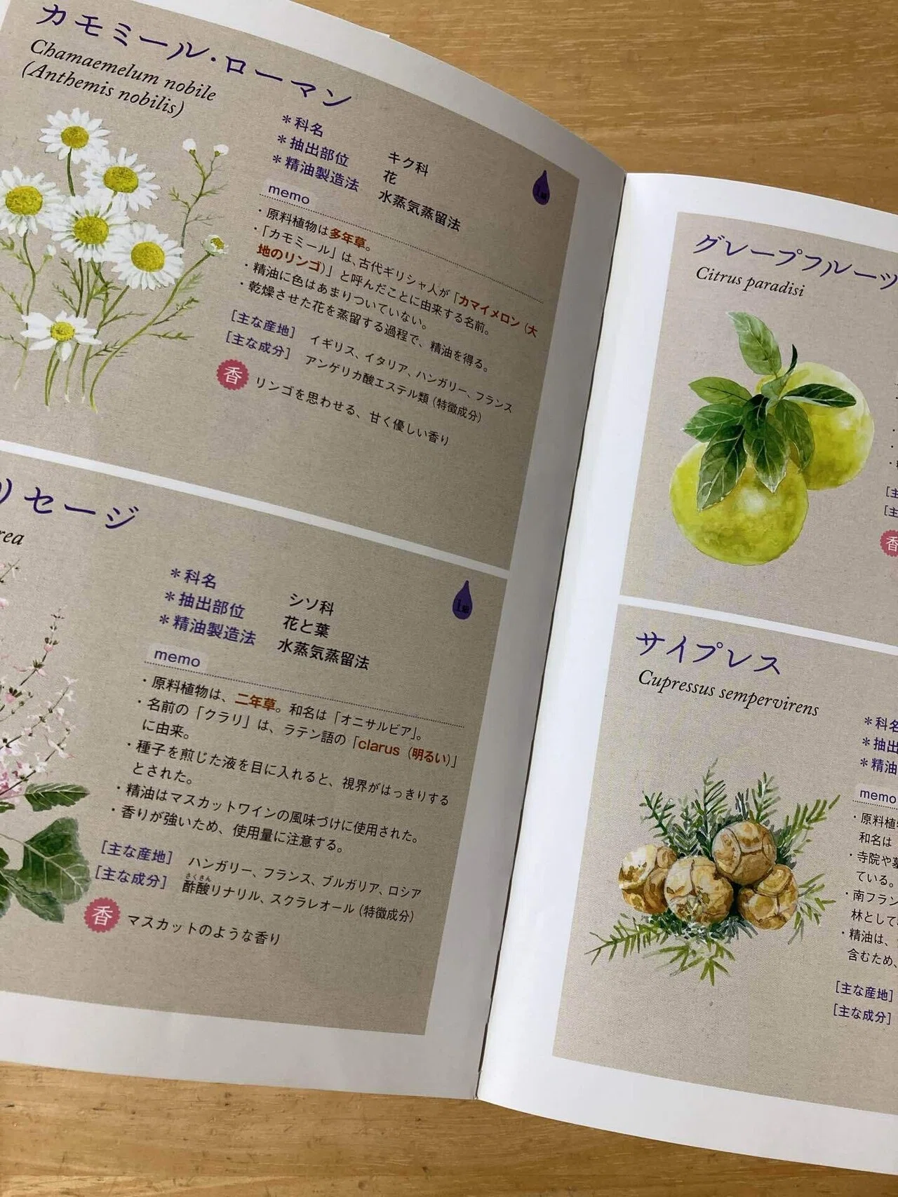 アロマテラピー検定1級合格のコツ｜ゆりぱせり