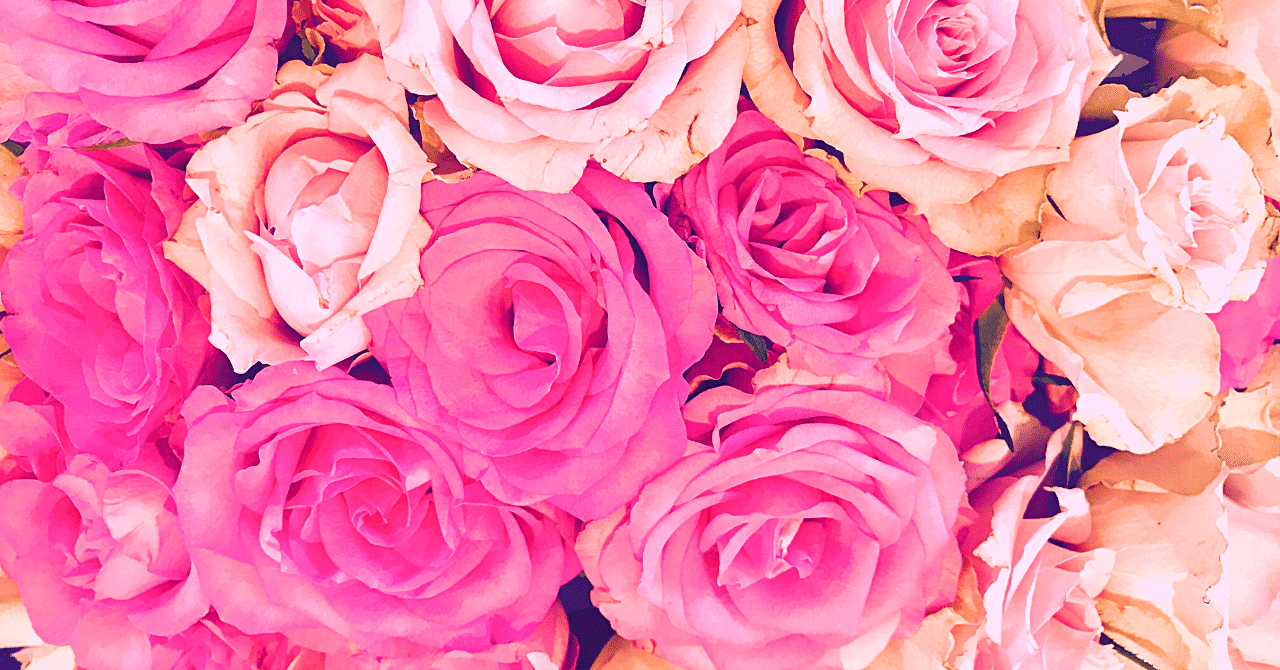 999本の薔薇を貴女に 注 中途半端小説 ちかい Note