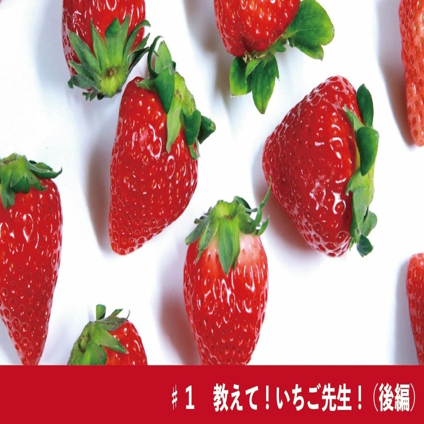 後編：あまおう、とちおとめ、紅ほっぺ… 名前を知っているいちごの品種