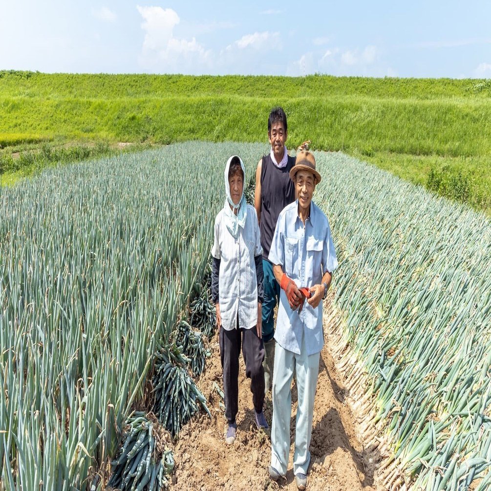 42 120年続く「阿久津曲がりねぎ」のおいしさを次の世代へ。親子で