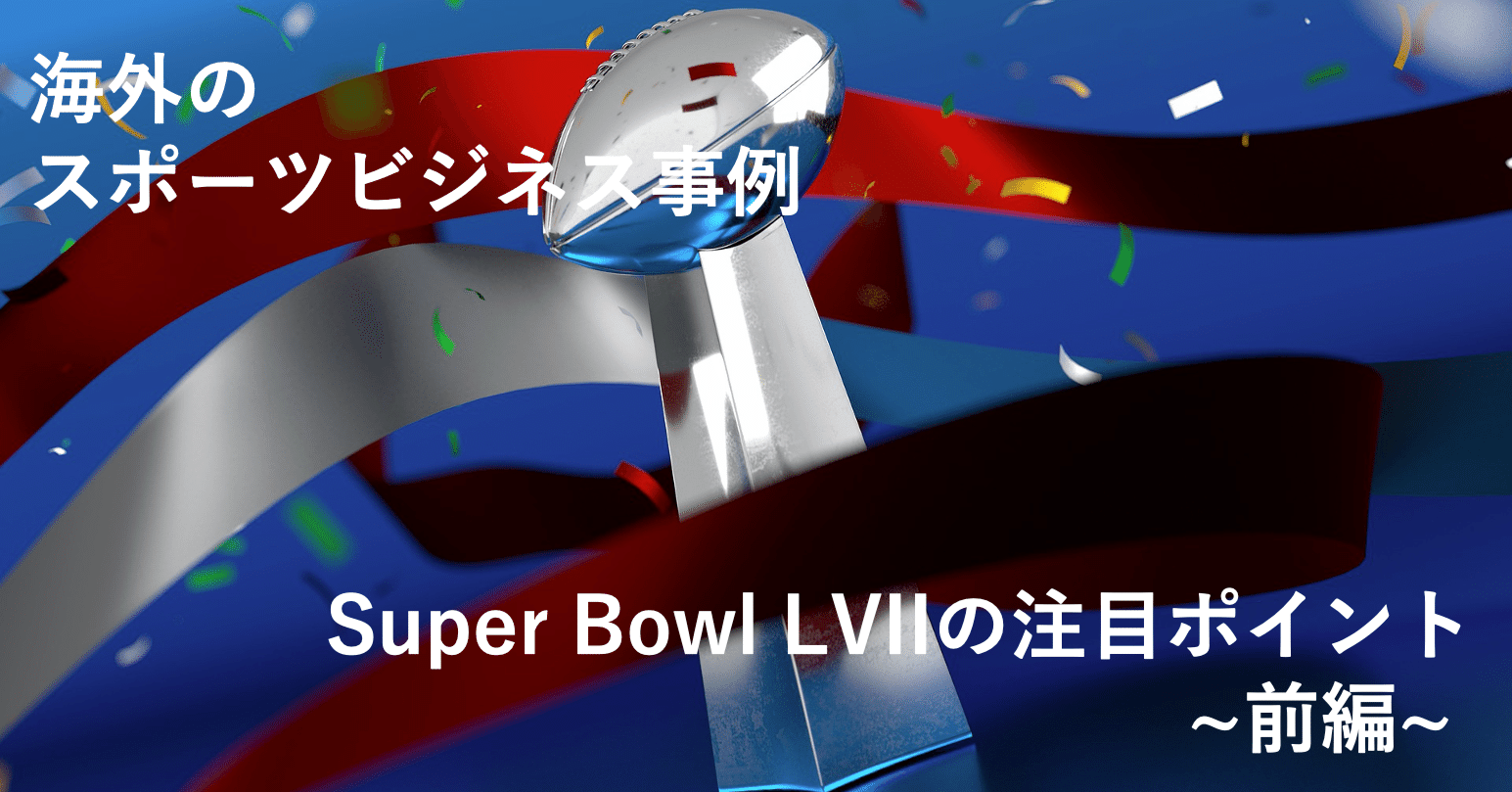 NFL スーパーボウル 第22回 チケット？（2024年】スーパーボウル