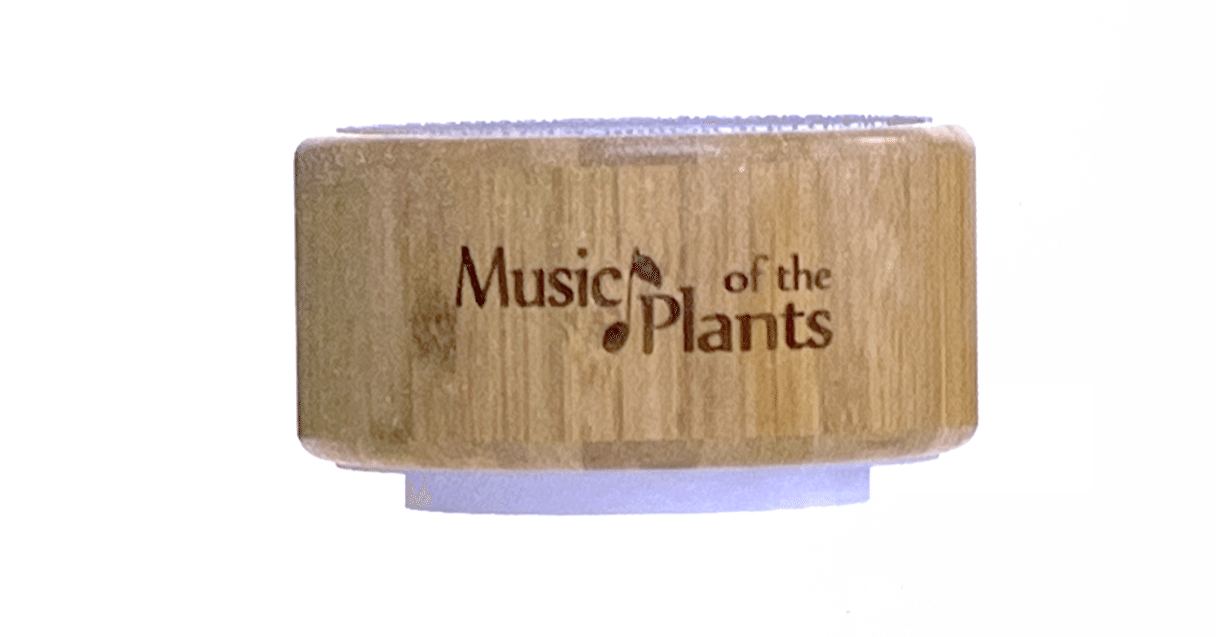 新しい植物の音楽デバイス「イチョウ」Gingko登場！｜Music of the