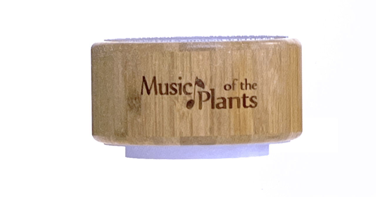 【美品】　Music of the Plants 植物音楽デバイス 新しい植物の音楽デバイス「イチョウ」Gingko登場！｜Music of the