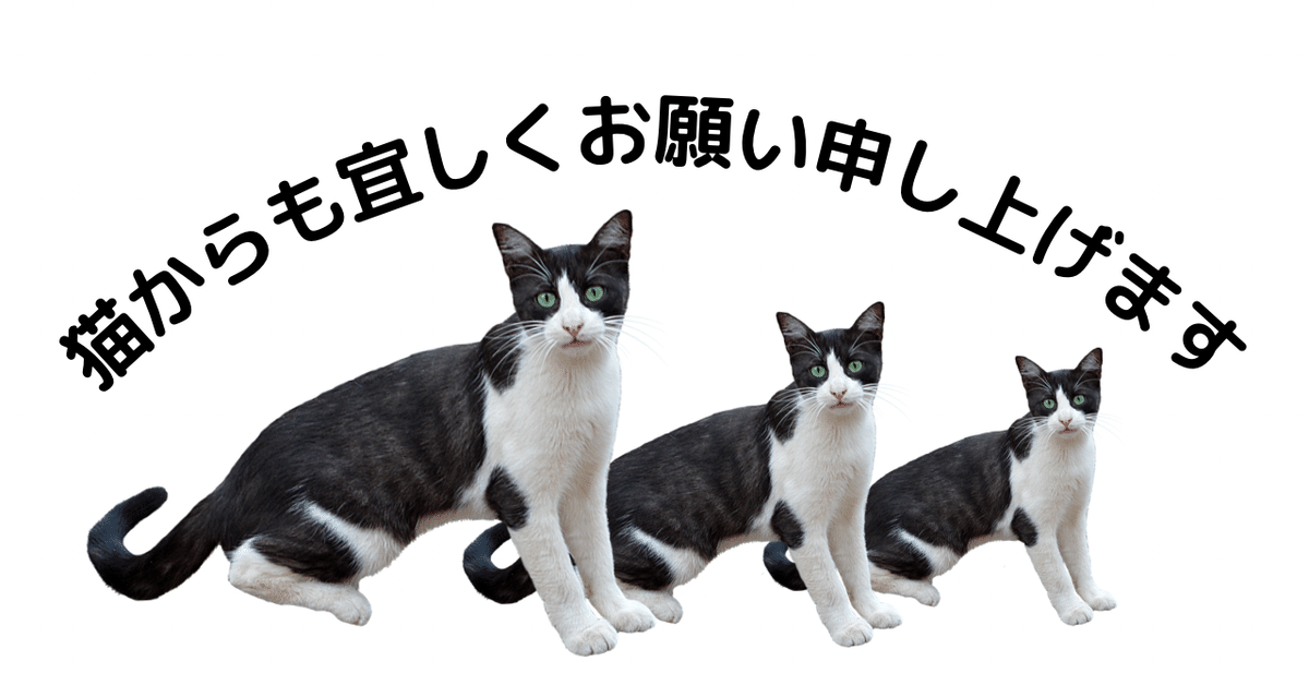SOPHIA 黒柳能生 TCP×Lead 【LIVE！すわっちぃキーホルダー】 ロックバンドSOPHIA黒柳能生×「すわっちぃZooにゃんこ」がコラボ