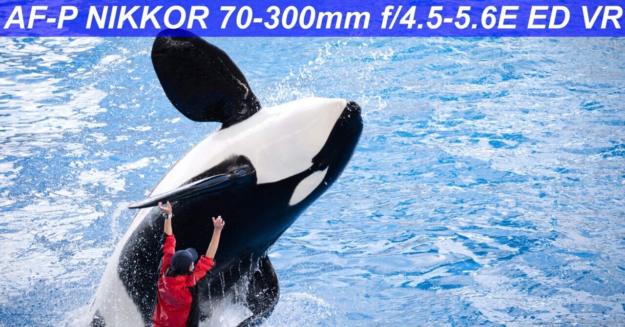 41 AF-P NIKKOR 70-300mm f/4.5-5.6E ED VRを使ってみての感想