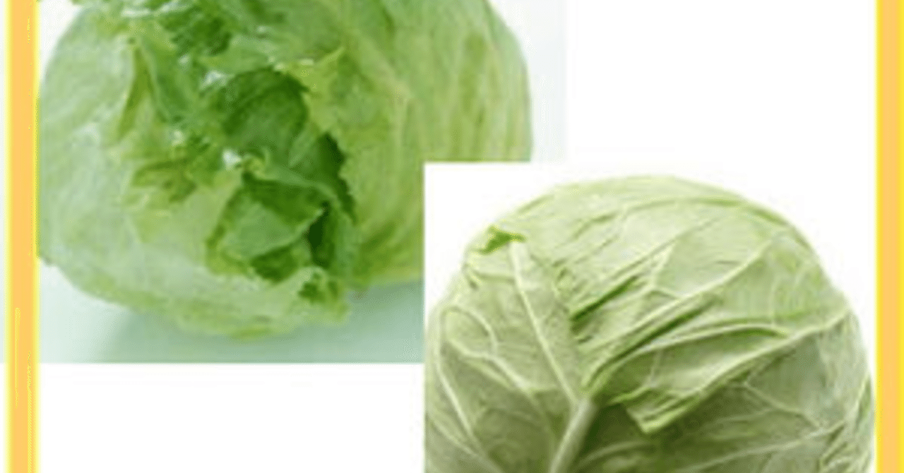 キャベツとレタスの話 やきいも Note キャベツとレタスの話 やきいも Note