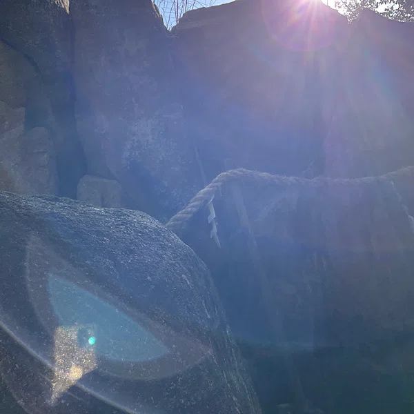 越木岩神社 霊石のご神光②【光の写真】|流々(るる)|note