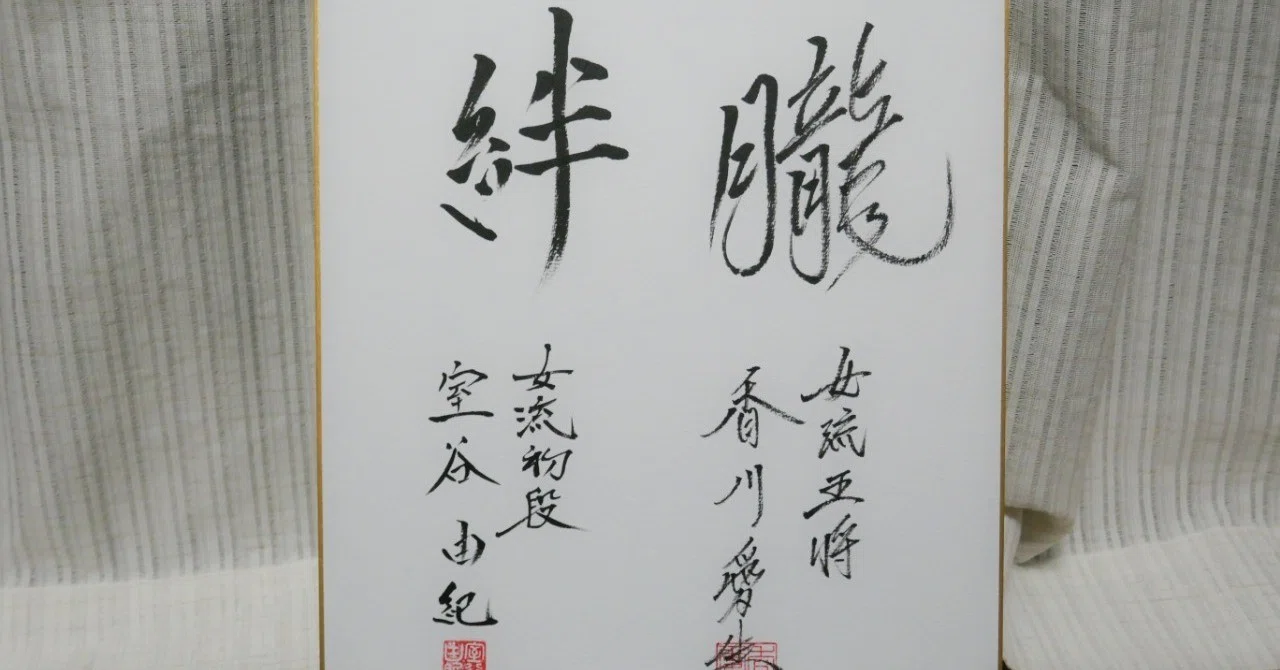 室谷由紀女流二段揮毫 （額縁付き）/ 将棋高級プラ駒 / 将棋ソフト盤