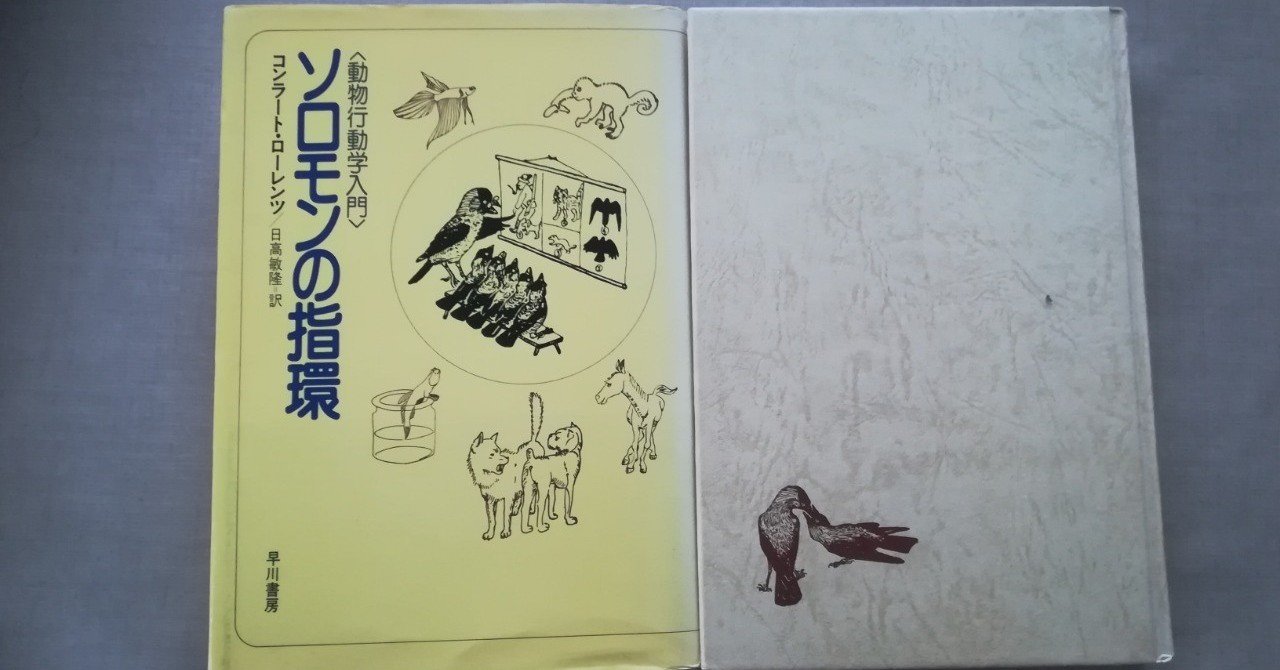 訂正 ソロモンの婚約指輪 おわび 高井浩章 Note