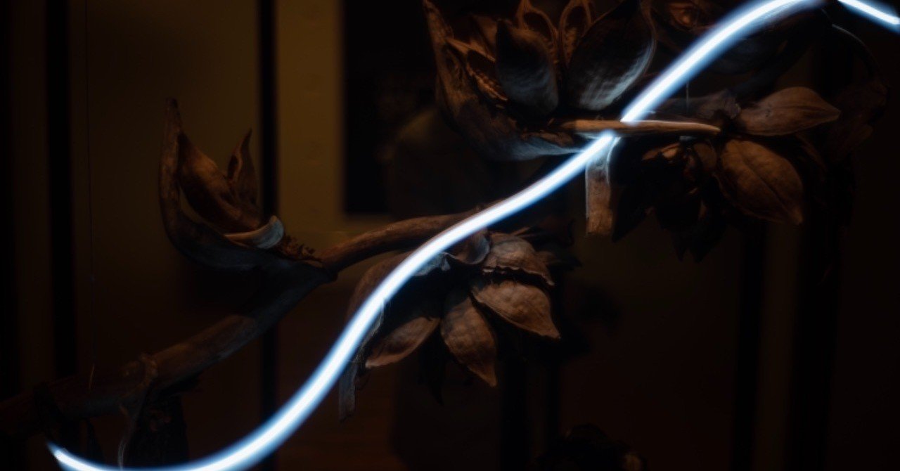 個展】「質量への憧憬」展1/24-2/6｜落合陽一