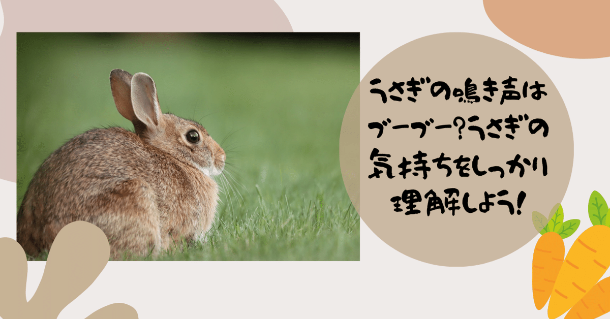 ウサギ2匹です——ブーブー様 ウサギ2匹です——ブーブー様 （うさぎの鳴き声はブーブー？うさぎ