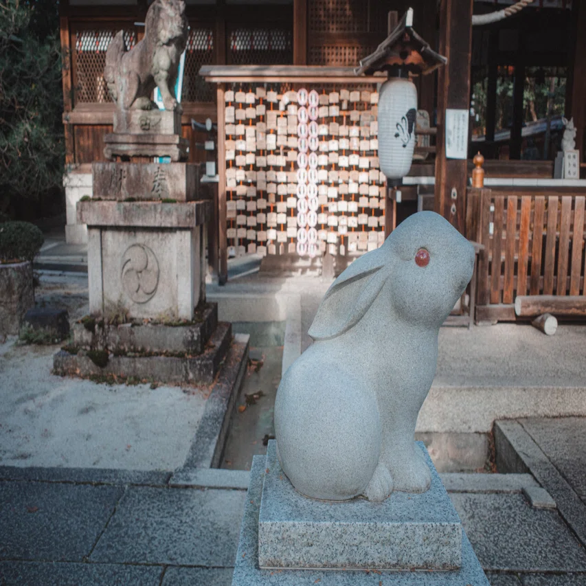 604【京都】うさぎがいっぱい！うさぎだらけのうさぎ神社｜旅する
