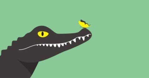 Ny雑学 ワニの日 ニューヨーク 海外 カーター Note