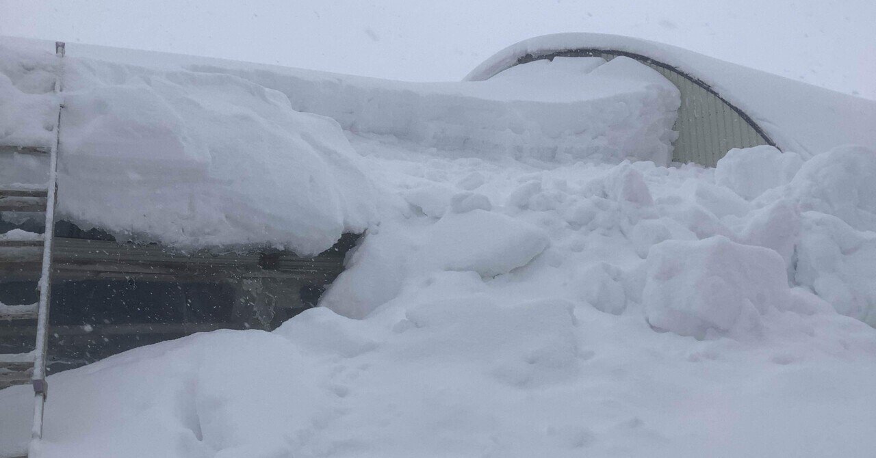 屋根も雪下ろし