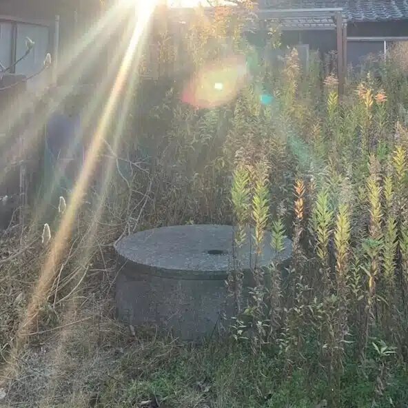 にこにこ