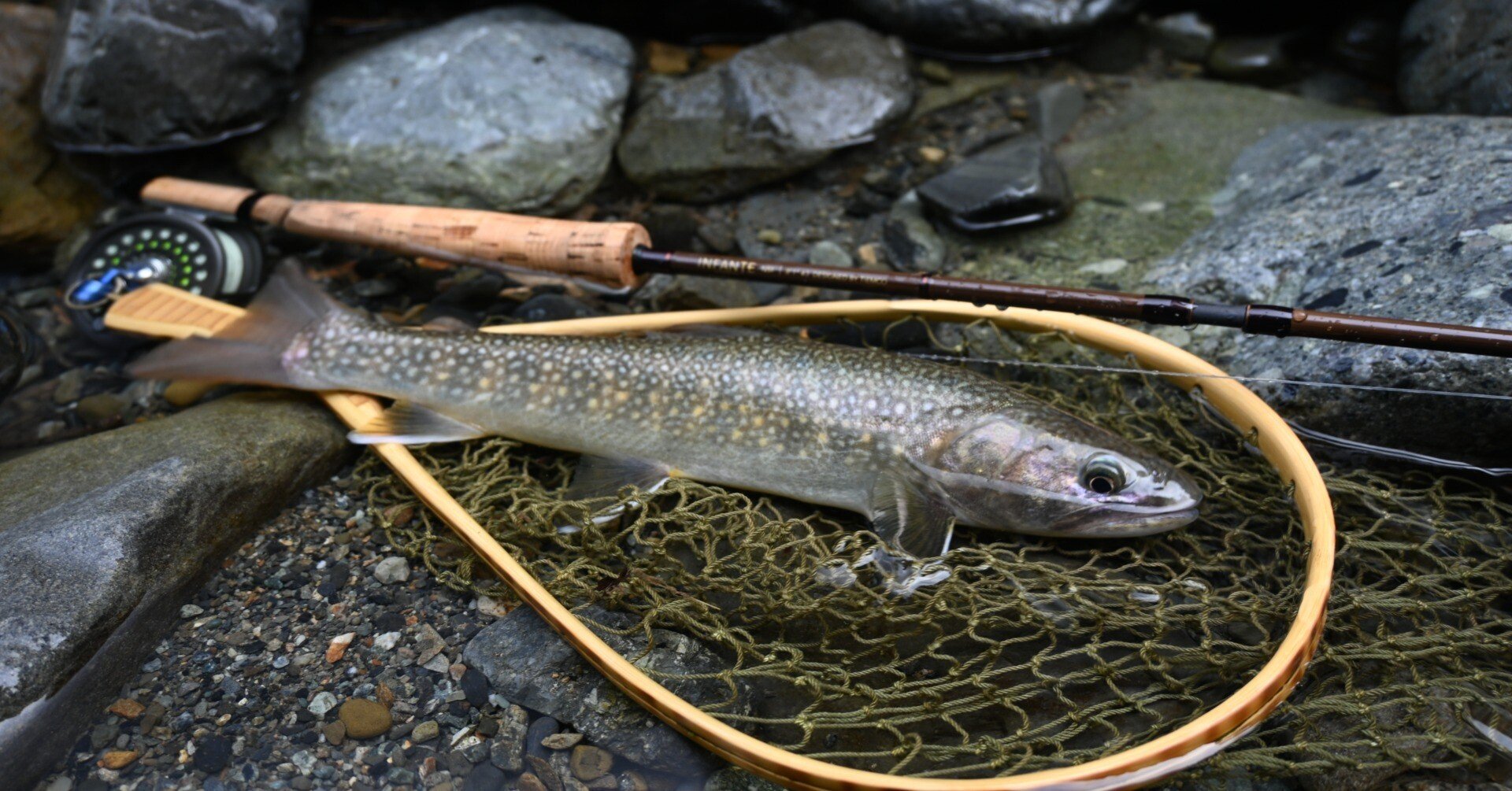 イワナ・ヤマメ 渓流魚の付き場を考える｜FF.BUM（エフエフドットバム）