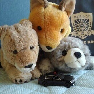 papi-bushi(パピブシ)