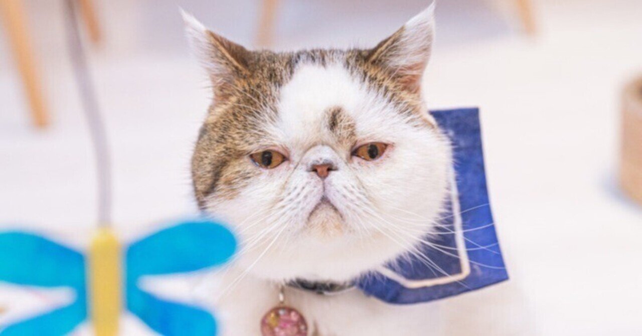 シェルブリット（幾原邦彦＆永野護）（絶版本）【我々が入手した情報