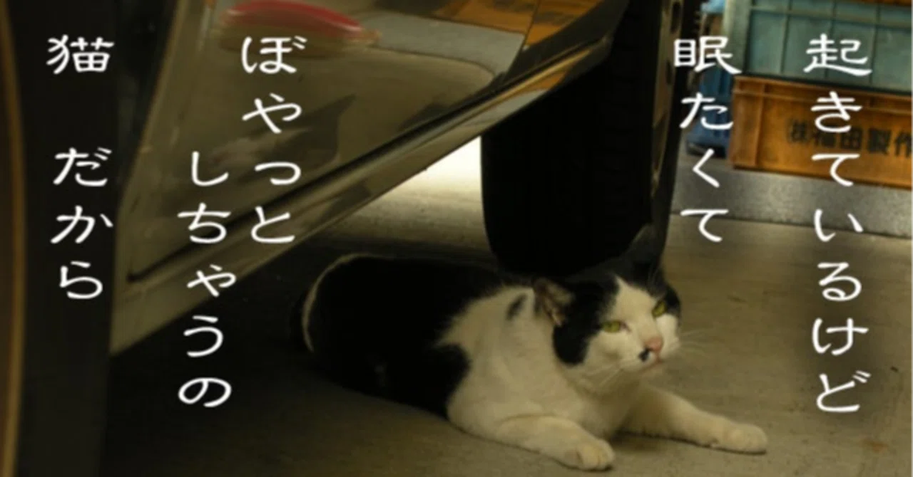 見出し画像