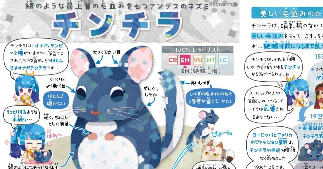 絶滅危機動物ファイル05「チンチラ」|キクチミロ 絶滅危機動物ファイル05「チンチラ」|キクチミロ