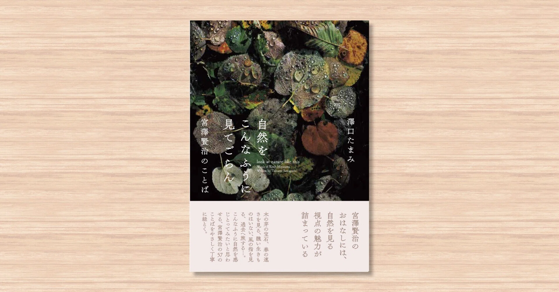 A book collecting 57 perspectives of Kenji Miyazawa observing