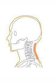 脂漏性皮膚炎のナゾ アレルギーとたたかう理学療法士 及川文宏 Note