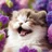 ねこ