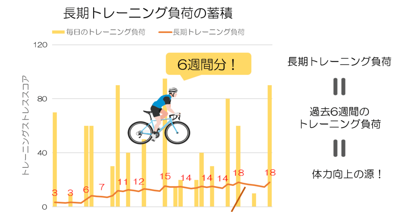 即効・時短体質改善プログラム マーケティング 大島の7日間 <br/>やってみました エリートヘルス