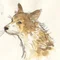 トミヤマジュンコ