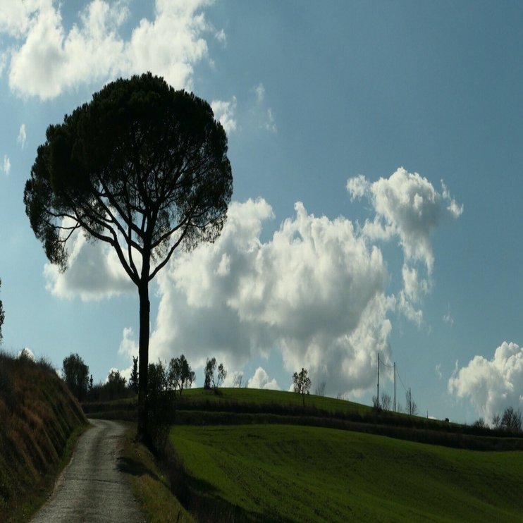 フィレンツェ田舎暮らし｜ゾウガニスタ(望月貴文)
