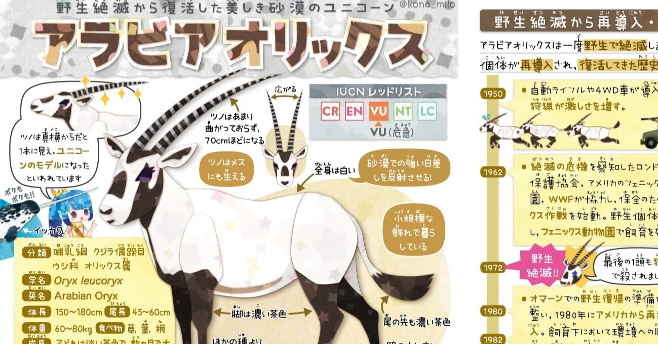 絶滅危機動物ファイル03「アラビアオリックス」｜キクチミロ