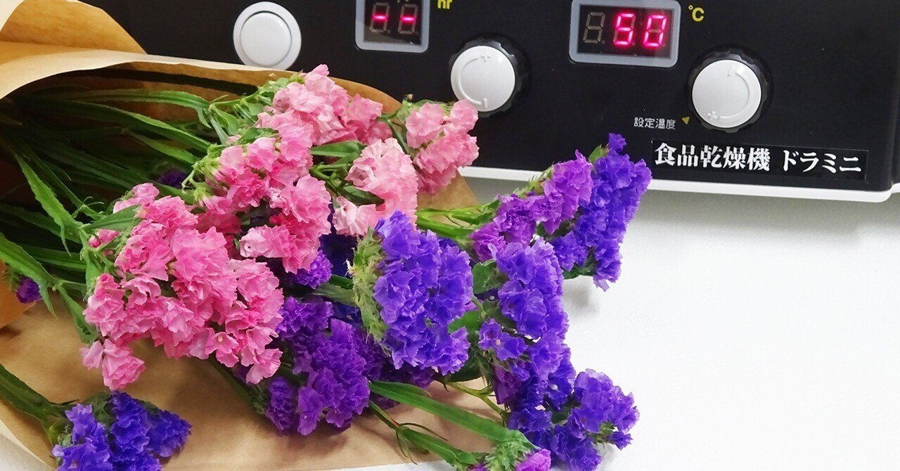 半日で作れる！】フードドライヤーでドライフラワーを作ってみた